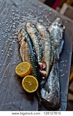 blue fish freshly caught great for a healthy diet ready to be cooked with lemon and oil