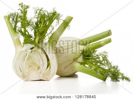 Fresh fennel bulb isolated on white background close up