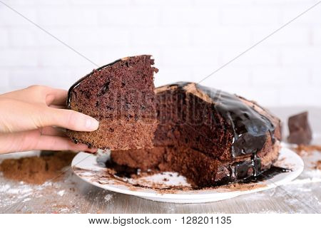 Home made chocolate pie on plate