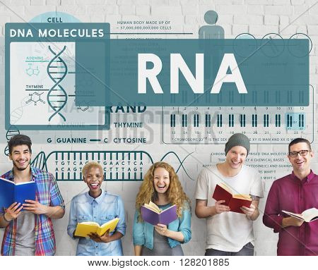 RNA Ribonucleic Physical Molecule Evolution Concept