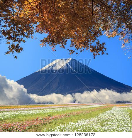 Beautiful Landscape With Nice Background Color
