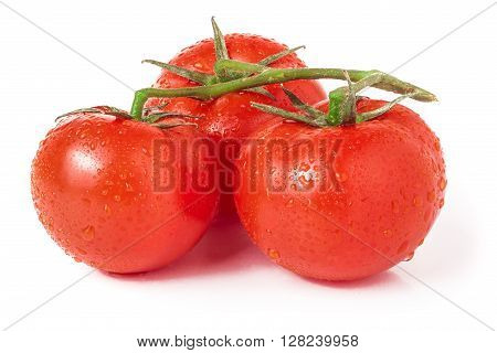 branch of three tomatoes with water droplets  isolated on white background.