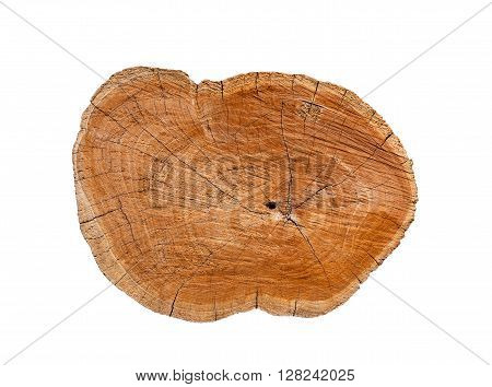 Isolated log stump and cross section texture with clipping path