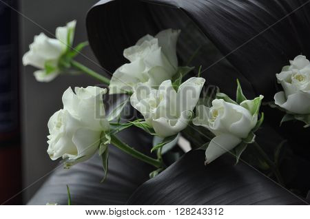 White Rose - symbolizes fidelity and probity