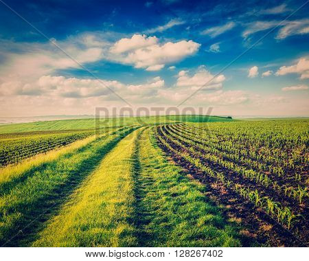 Vintage retro effect filtered hipster style image of rolling fields of Moravia, Czech Republic