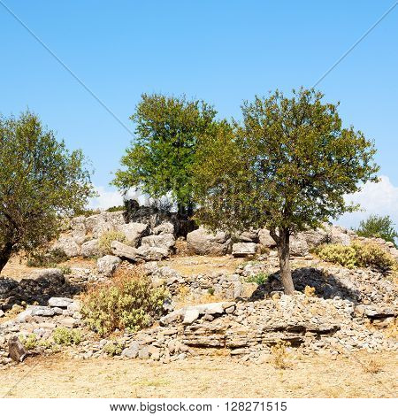 From The Hill In Asia Turkey Selge Old Architecture Ruins And Nature