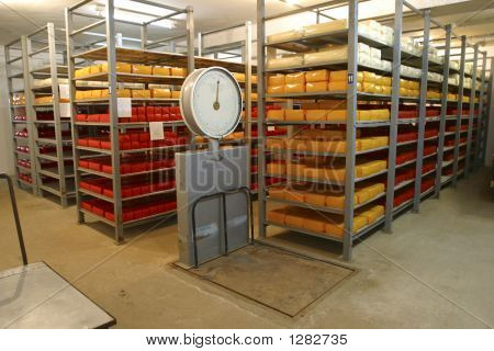 Archiviazione di formaggio nel caseificio