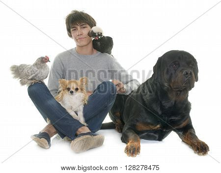 teen dogs and chicken in front of white background