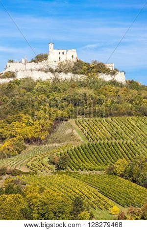 ruins of Falkenstein Castle with vineyard in autumn, Lower Austria, Austria