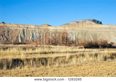 Ranch