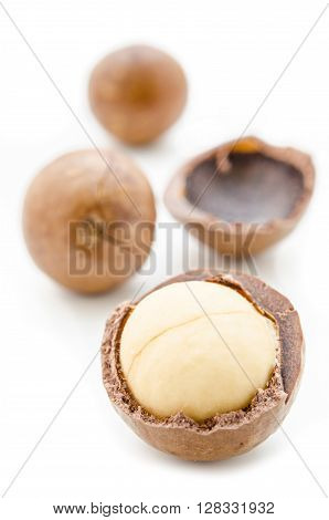 Close up Macadamia nuts on white background