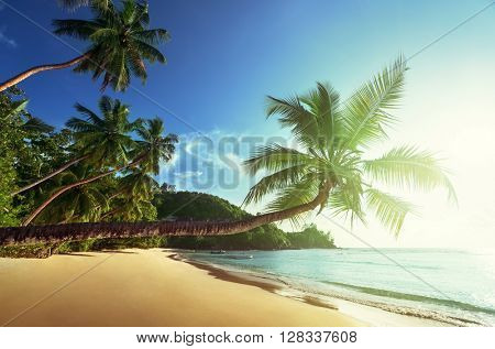 sunset on the beach, Mahe island, Seychelles