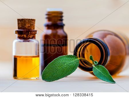 Bottle Of Essential Oil With  Fresh Sage Leaves Shallow Depth Of Field On Old Wooden Background.