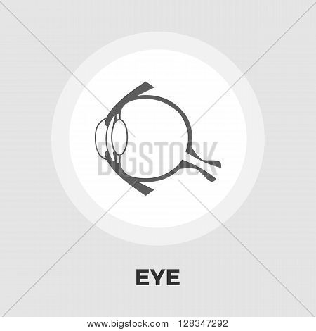 Anatomy eye icon vector. Flat icon isolated on the white background. Editable EPS file. Vector illustration.