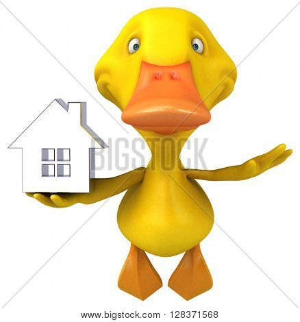 Duck