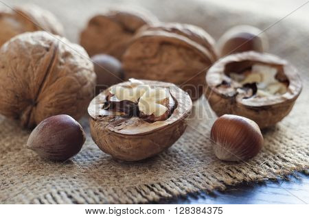 Opened walnut in the foreground. Near several walnuts and hazelnuts. Burlap on a table of black wood. Horizontal shot.