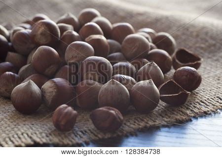 Hazelnuts on burlap which is put on the table. Horizontal shot.