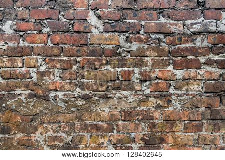 Old brick wall in a background image