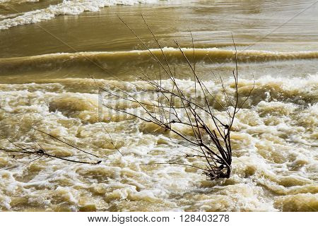 River in flood after several days of rain