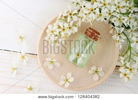 Bottle of flower aroma water, orchard spring blossom twigs. Herbal cosmetic