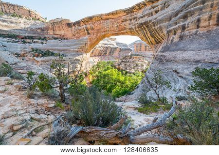 National Bridges National Monument, Utah, Usa