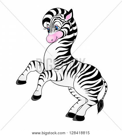cartoon zebra with isolation on a white background
