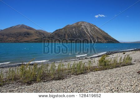 Beautiful landscape on the South Island. Summer scene in New Zealand.