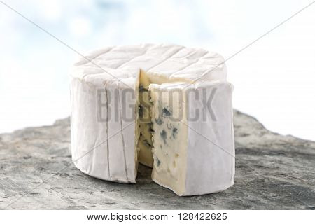 French blue  Bresse Bleu traditional frenche cheese