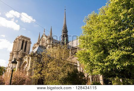 Notre Dame cathedral is a historic catholic cathedral on the eastern half of the Ile de la Cite in the 4th arrondissement of Paris.