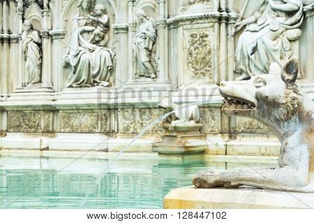 The Fonte Gaia is a monumental fountain located in the Piazza del Campo in the center of Siena (Tuscany Italy). Focused on the head of the animal.