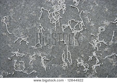 Linee ondulate in sabbia nella foresta pluviale di Daintree, Australia.