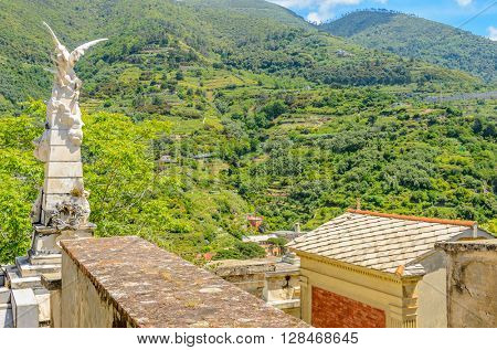 Landscape with vines on the hillside in the National park of Cinque Terre, Italy