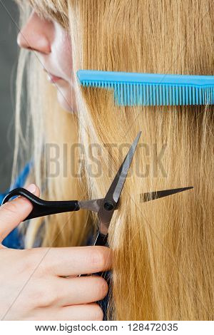Woman Cutting Down Smoothy Hair.