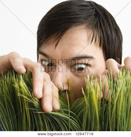 Aziatische jonge man kijkend door gras met vastberaden expressie.