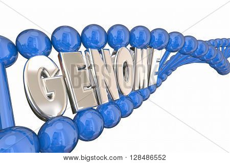 Genome 3d Illustration Word DNA Strand Genetics Heredity