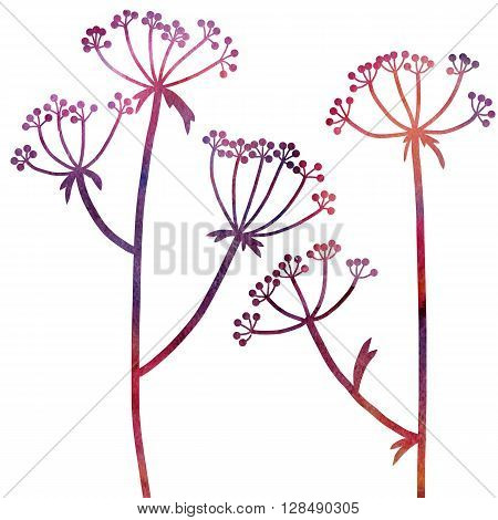 dill plants drawing in watercolor, floral composition with wild plants, drawing floral card, watercolor artistic background, hand drawn  illustration