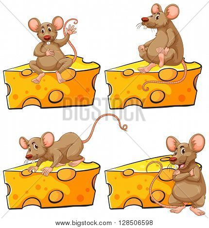 Four poses of mouse and cheese illustration
