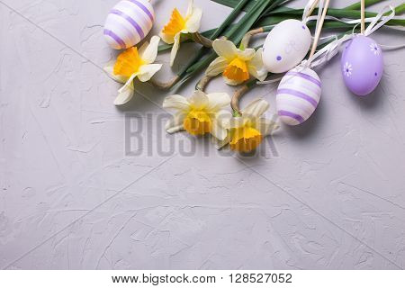 Easter or spring background. Decorative violet eggs and yellow daffodils or narcissus flowers on grey textured background. Selective focus. Place for text.