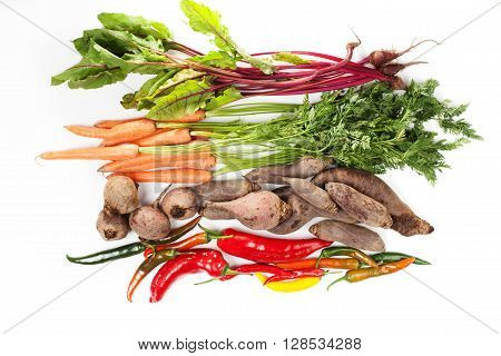 Bunch of beet leaves carrots beetroot and chilli pepper on white background