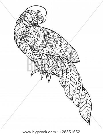 Zentangle stylized parrot. Bird. Black white hand drawn doodle. Ethnic patterned vector illustration. African, indian, totem, tribal design. Sketch for tattoo, poster, print or t-shirt.