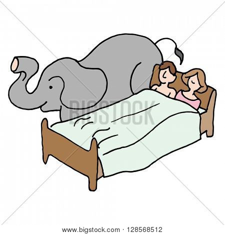An image of a bedroom couple elephant in the room.