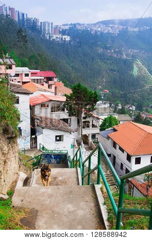 Charming village of Guapolo in Quito Ecuador with houses built downward valley, spectacular view Andes mountains.