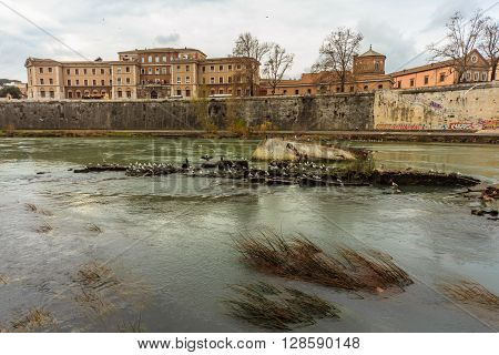 ROME - January 12: Nice view of the river Tiber January 12 2016 in Rome Italy.