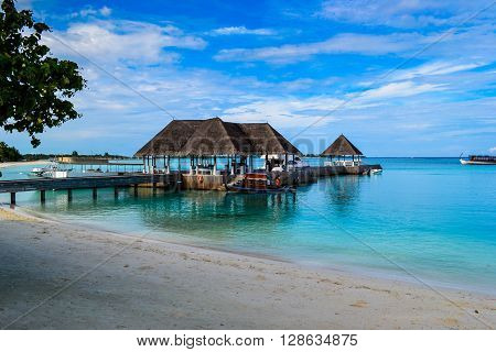Maldives island - sandy beach and indian ocean