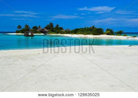 Maldives island - sandy beach and indian ocean