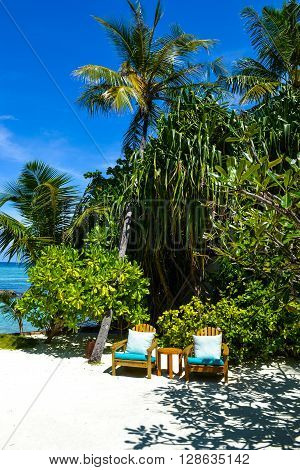 Maldives island - sandy beach and indian ocean