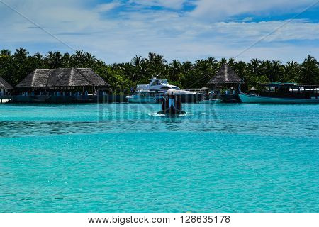 Maldives island - sandy beach and indian ocean