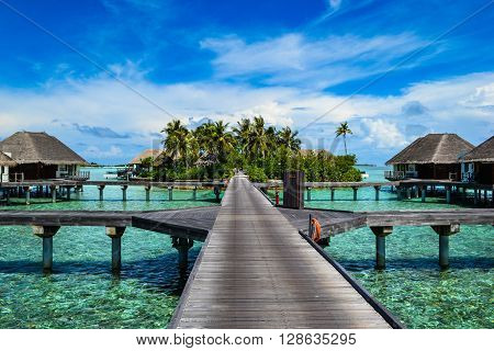Maldives island - sandy beach and indian ocean