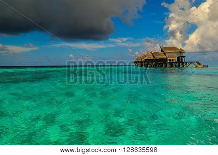 Maldives island - sandy beach and indian ocean