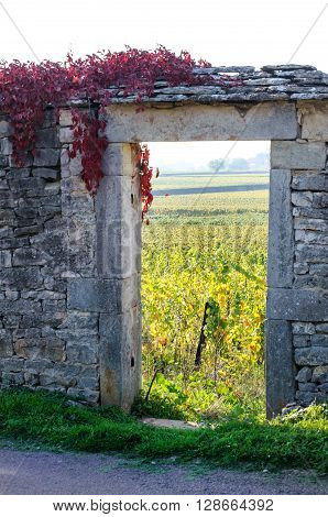 Portal of vineyard in Burgundy near Beaune Cote d'Or France Europe